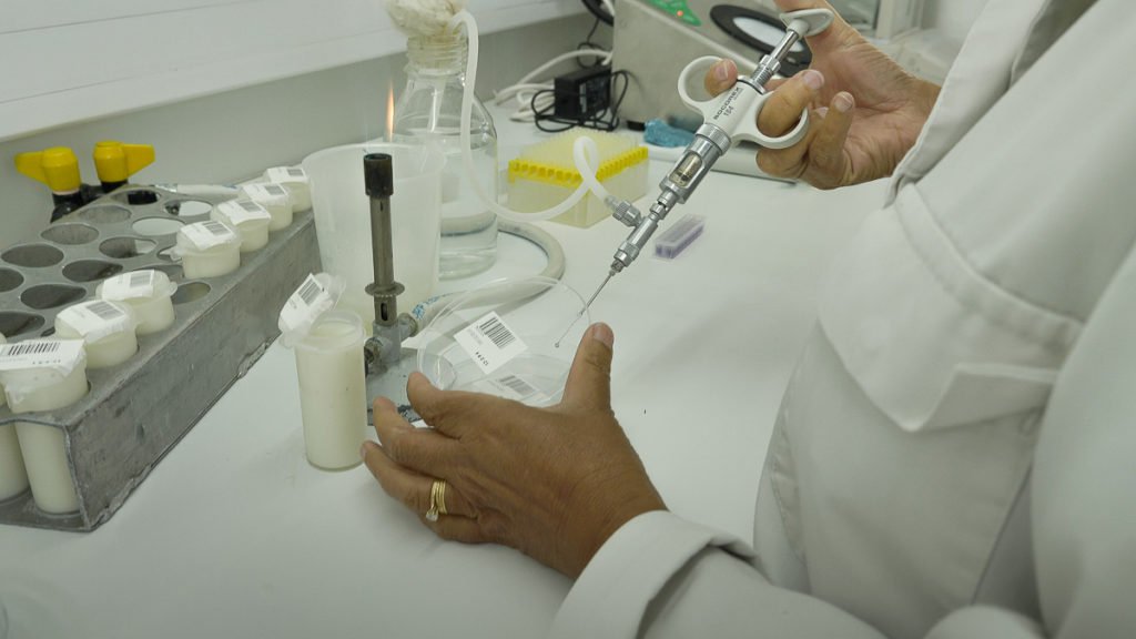 Une scientifique prélève des échantillons de lait au labo